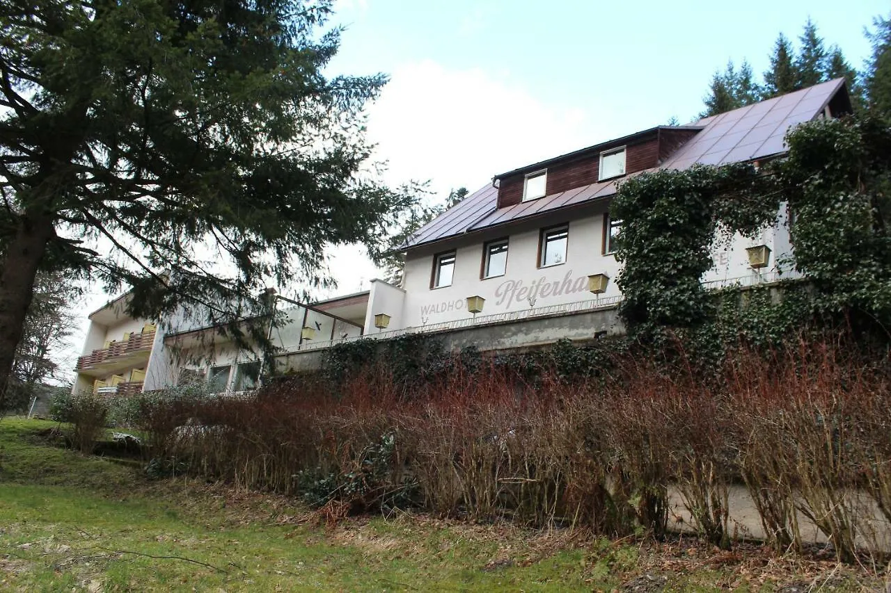 Waldpension Pfeiferhaus Hotel Warmensteinach Guest house