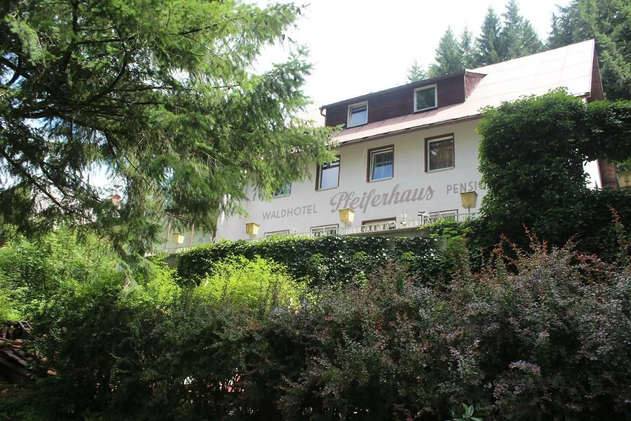 Waldpension Pfeiferhaus Hotel Warmensteinach 2*,  Germany