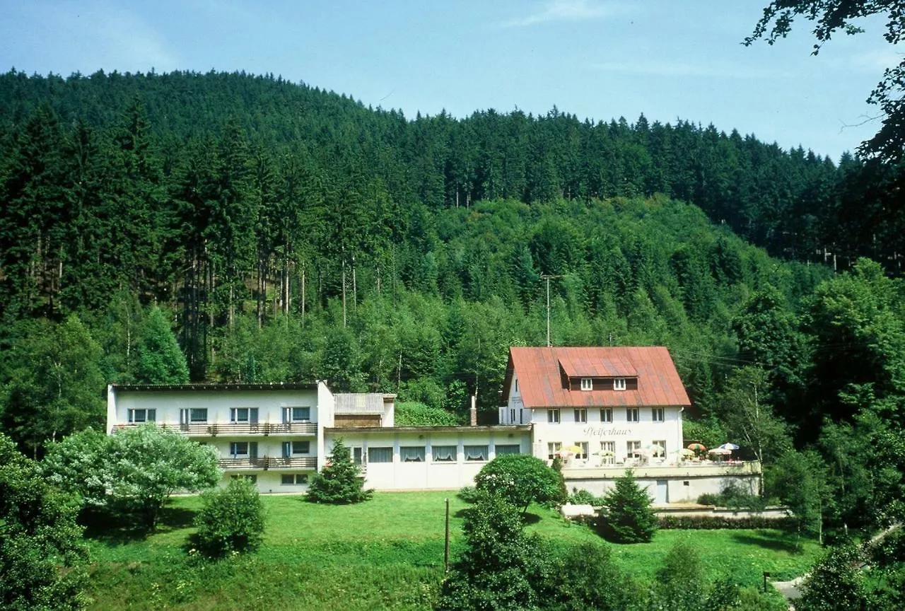 Guest house Waldpension Pfeiferhaus Hotel Warmensteinach